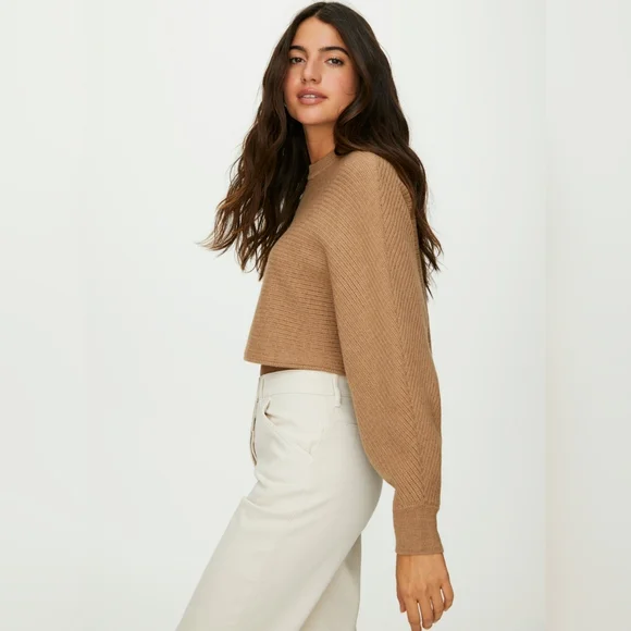 Wilfred Free Aritzia Lolan Cropped Sweater 100% Merino Wool Tan Womens Small - Picture 2 of 13